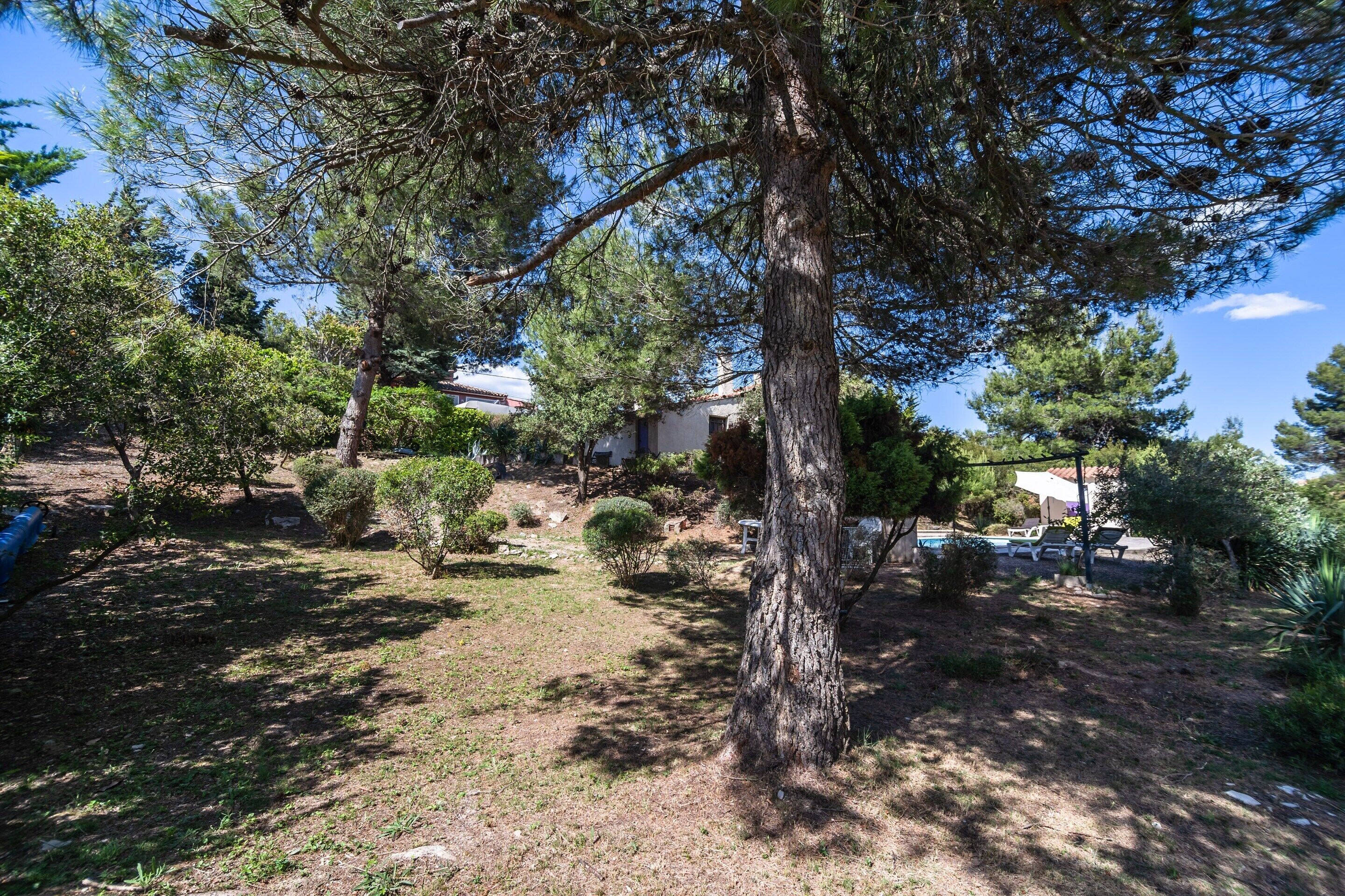 Villa | Garden