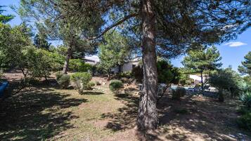Villa | Garden