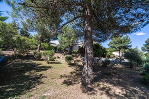 A residential area with a large tree, a swimming pool, and a house with a tiled roof. - Villa in Pouzols With Private Pool (Pouzols-Minervois)