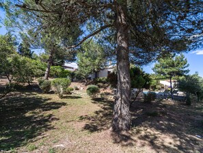Garden - Villa in Pouzols With Private Pool (Pouzols-Minervois)