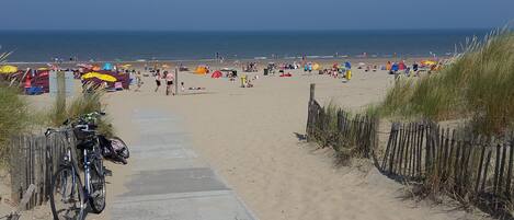 บังกะโล | วิวจากที่พัก