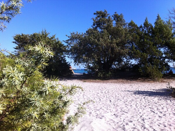 Beach nearby, beach towels
