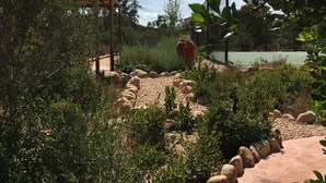 A garden pathway with a wooden pergola, surrounded by various plants and rocks.