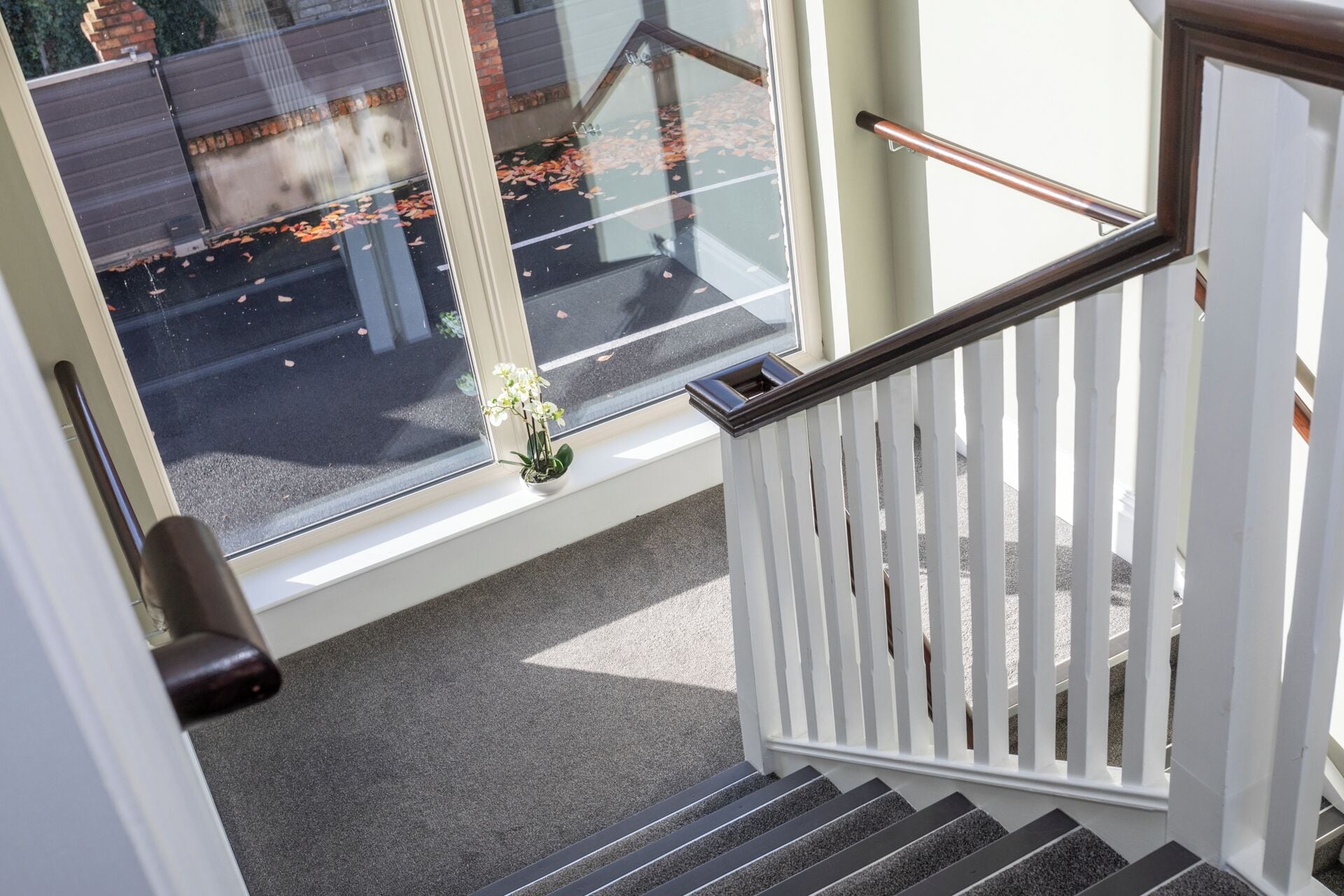 A staircase with a white railing and a potted orchid on the landing.
