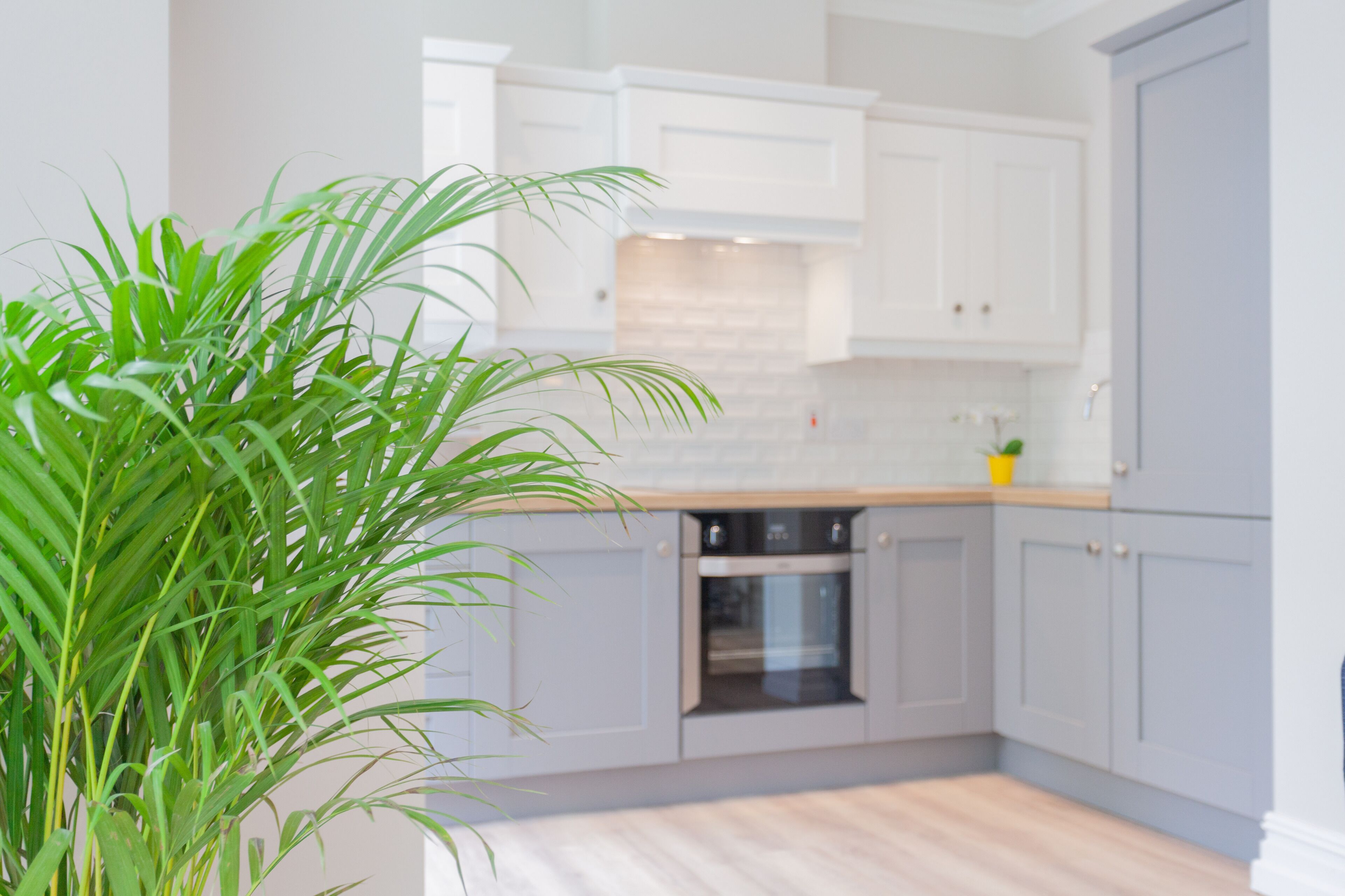 Apartamento, 1 habitación | Cocina privada | Frigorífico, microondas, horno y placa de cocina