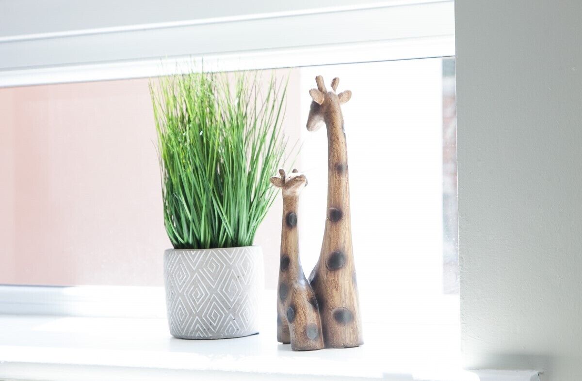 A window sill with a potted plant and two giraffe-shaped salt and pepper shakers.