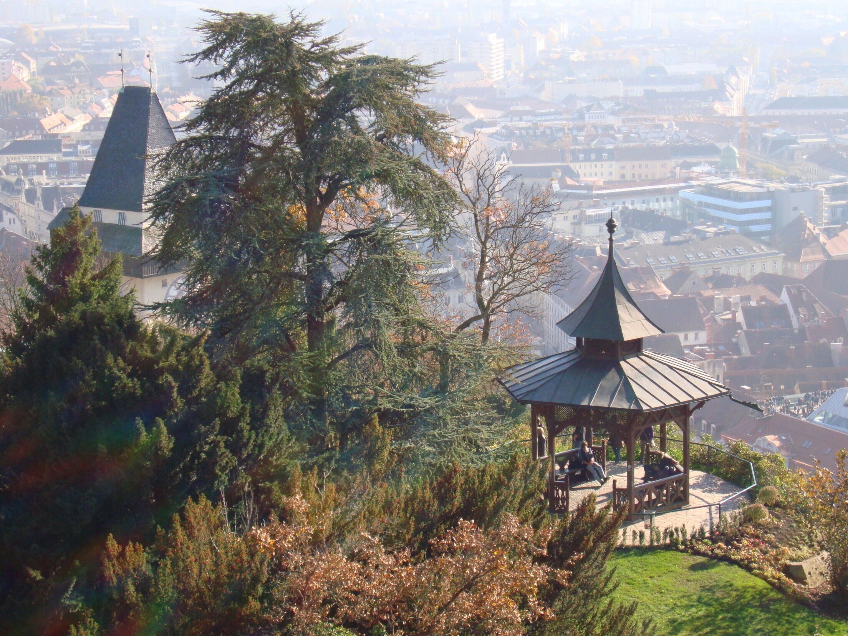 A gazebo with a metal roof and wooden structure, surrounded by trees and a view of a cityscape with buildings and a river.