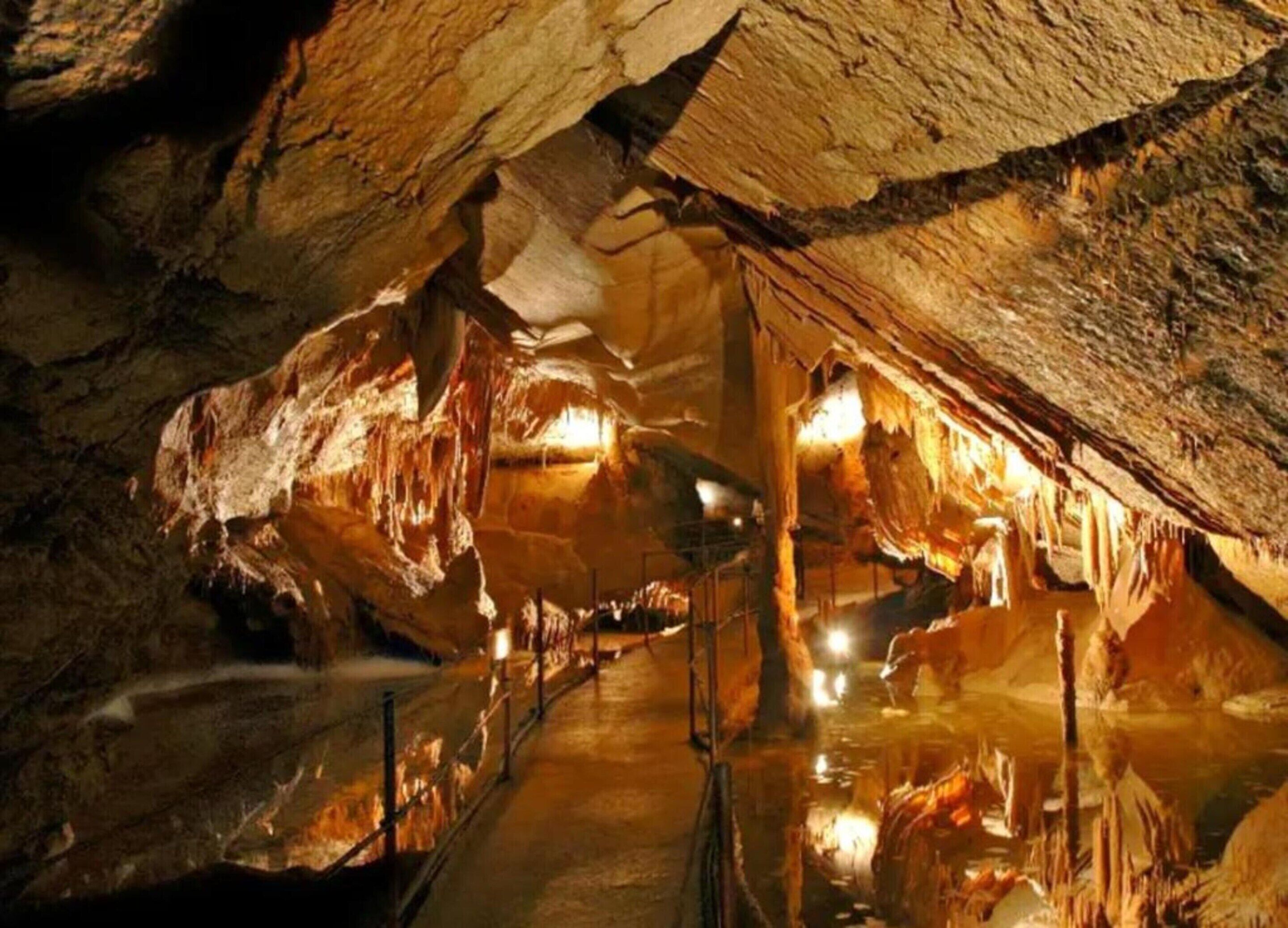 A cave with stalactites and stalagmites, a walkway, and artificial lighting.
