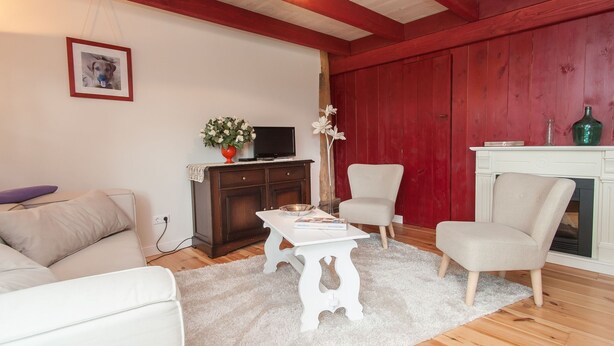 Apartment | Living room - Apartment in a Farmhouse in the Heart of the Burgerbrug Polder Landscape (Burgerbrug)
