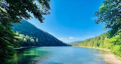 Chalet in Lotharingen Near Forest & Ski Lift