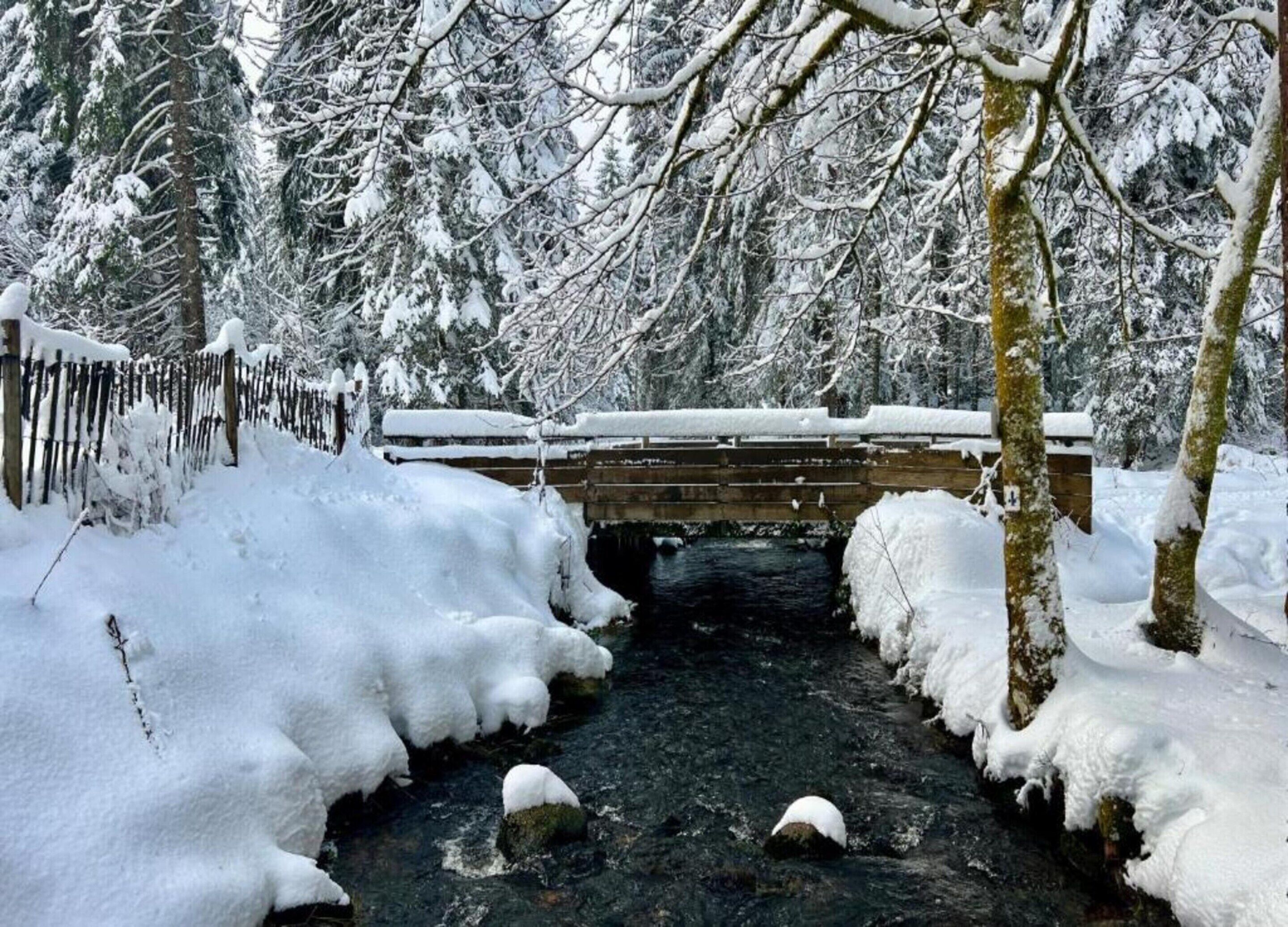 A wooden bridge over a snow-covered stream in a forest.