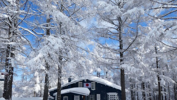 A snow-covered house surrounded by trees. - Japan Snowsports (Myoko)