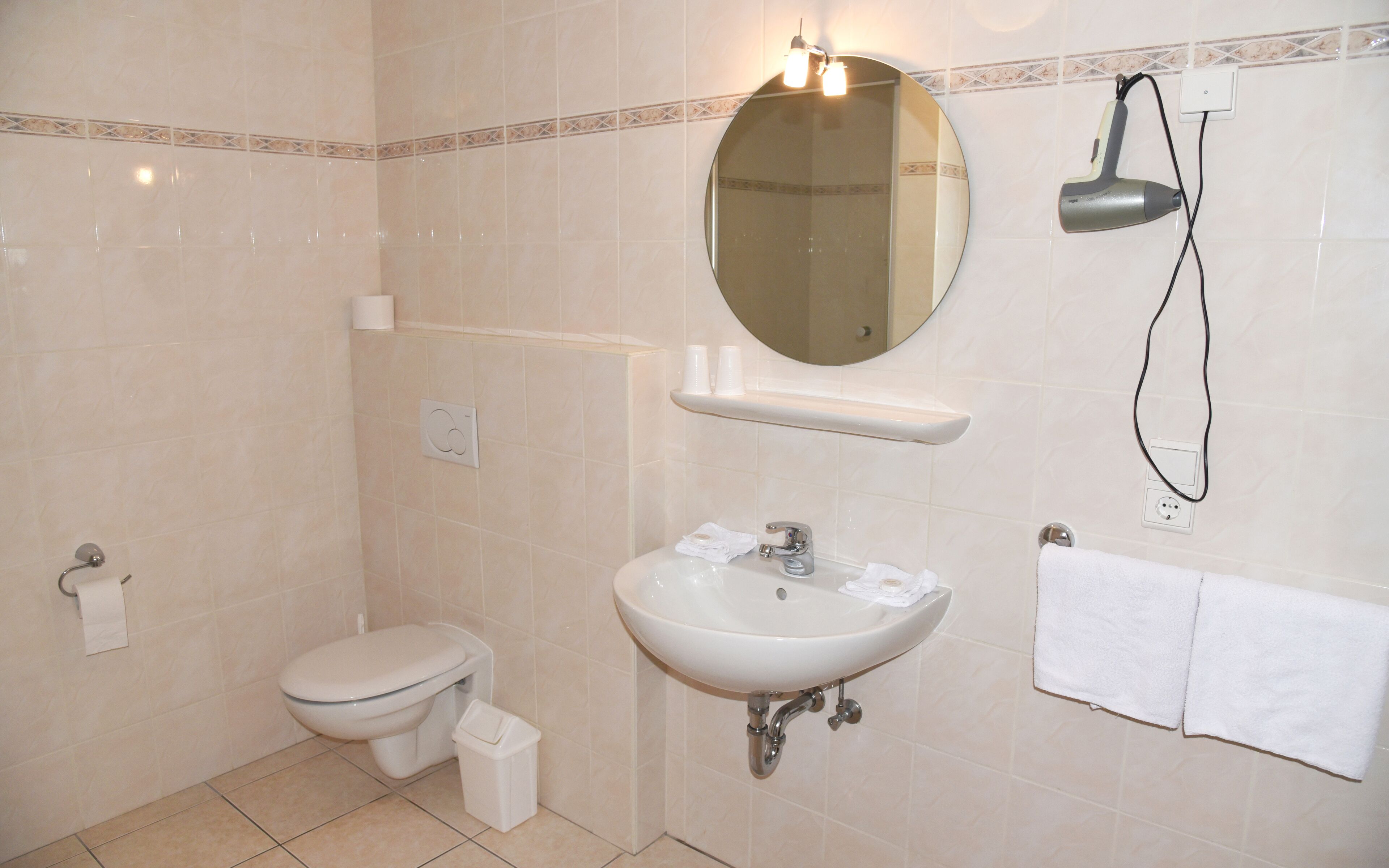 Een badkamer met toilet, wastafel, spiegel en handdoekhouder.