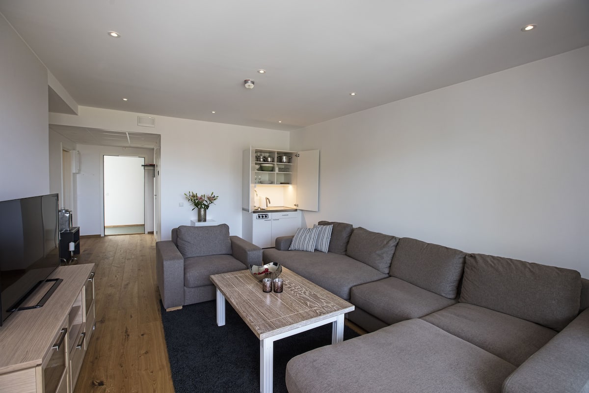 Family Apartment | Living area | Plasma TV, heated floors