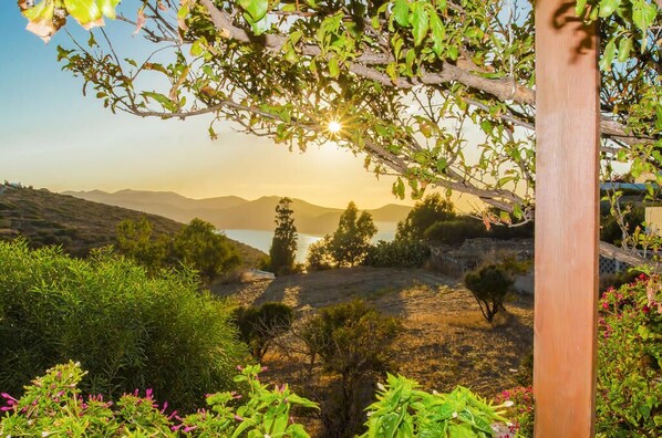 Vista desde la propiedad