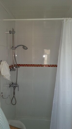 Appartement, 1 chambre | Salle de bain | Douche, serviettes fournies, papier de toilette
