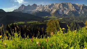 Exterior - Spacious Apartment in Ramsau am Dachstein With Swimming Pool (Ramsau am Dachstein)