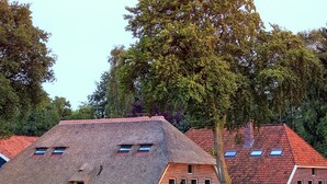 Aussenbereich