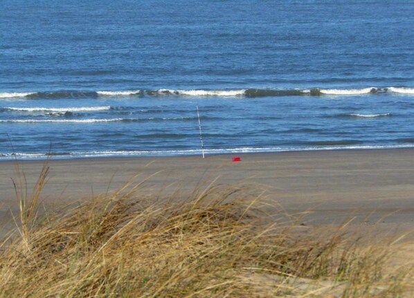 Vista desde la propiedad