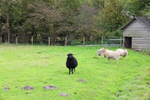 Hus | Udsigt fra overnatningsstedet