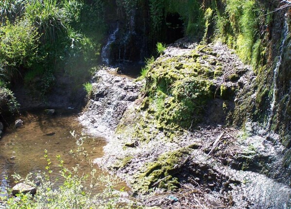 Un paisaje rocoso natural con un pequeño arroyo, rodeado de vegetación densa.