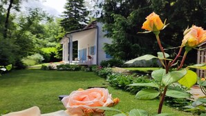 A garden with roses and a small building with a porch. - Villa in Bruniquel by Aveyron River (Bruniquel)