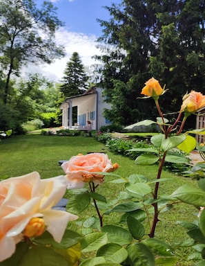 A garden with roses and a small building with a porch. - Villa in Bruniquel by Aveyron River (Bruniquel)