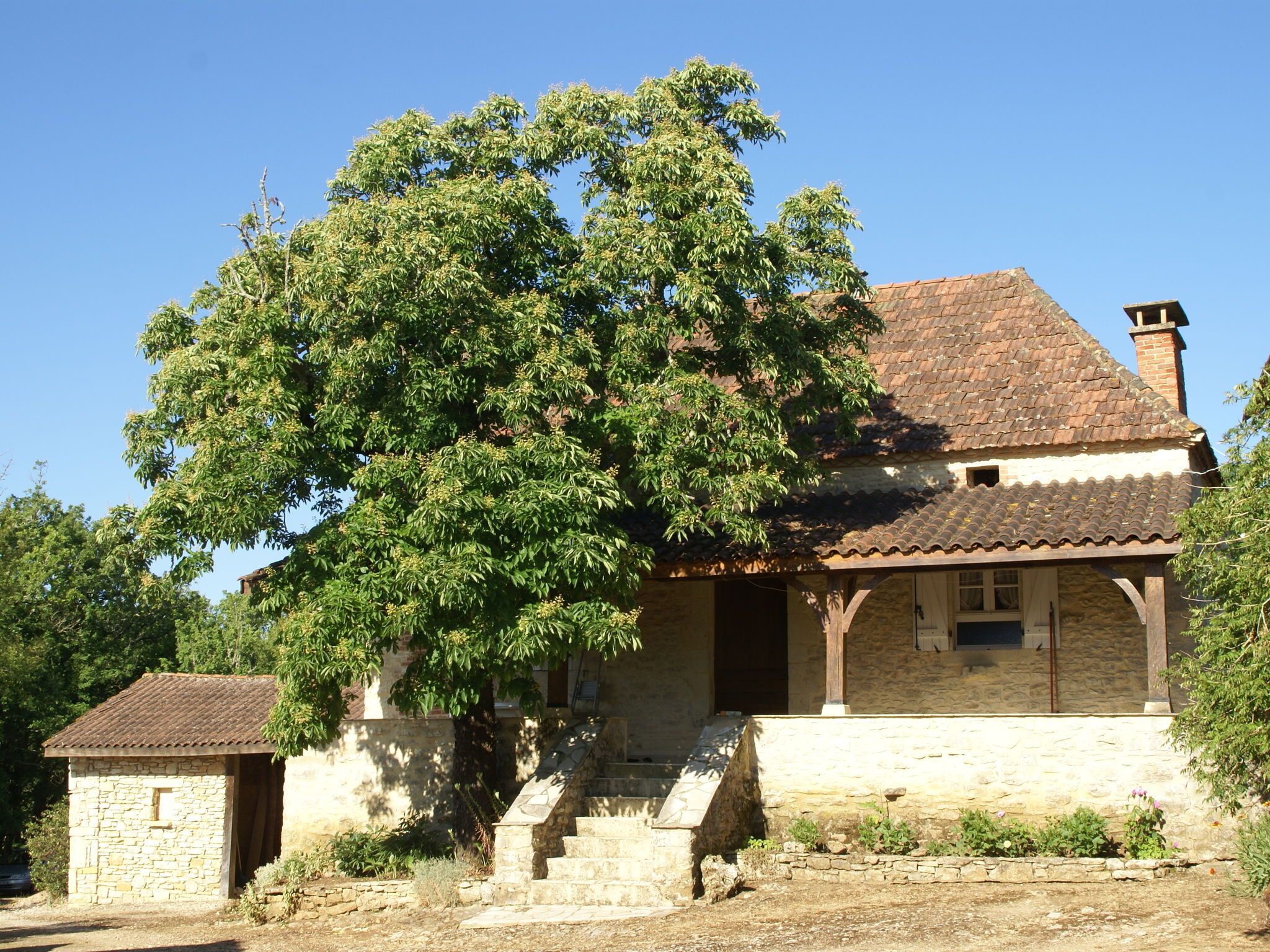 House | Exterior