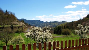 House | View from property