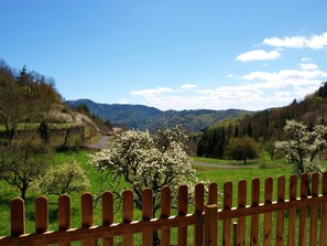 View from property - Cozy Countryside Escape in Auvergne (Saint-Privat-d'Allier)
