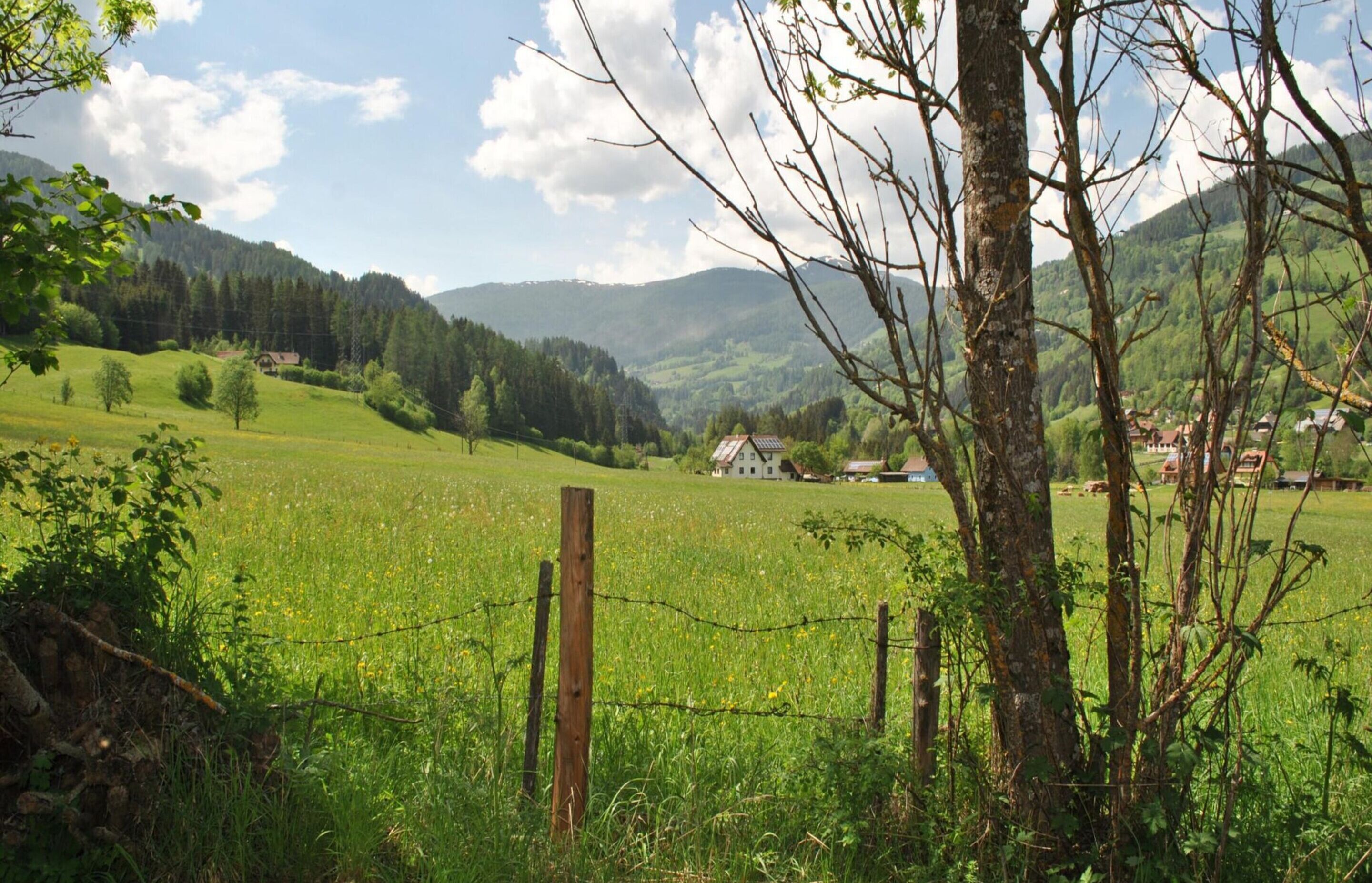 A rural landscape with a fenced field, trees, and houses in the distance.