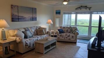 Smart TV, video games, books