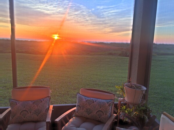 A room with two chairs facing a large window, a potted plant, and a view of a sunset over a grassy landscape.