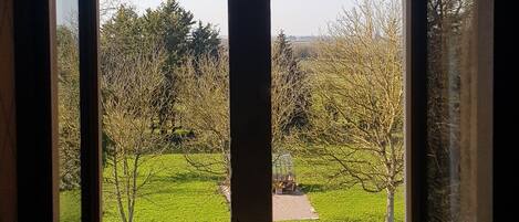 Ein Fenster mit Blick auf eine grüne Landschaft und Bäume.