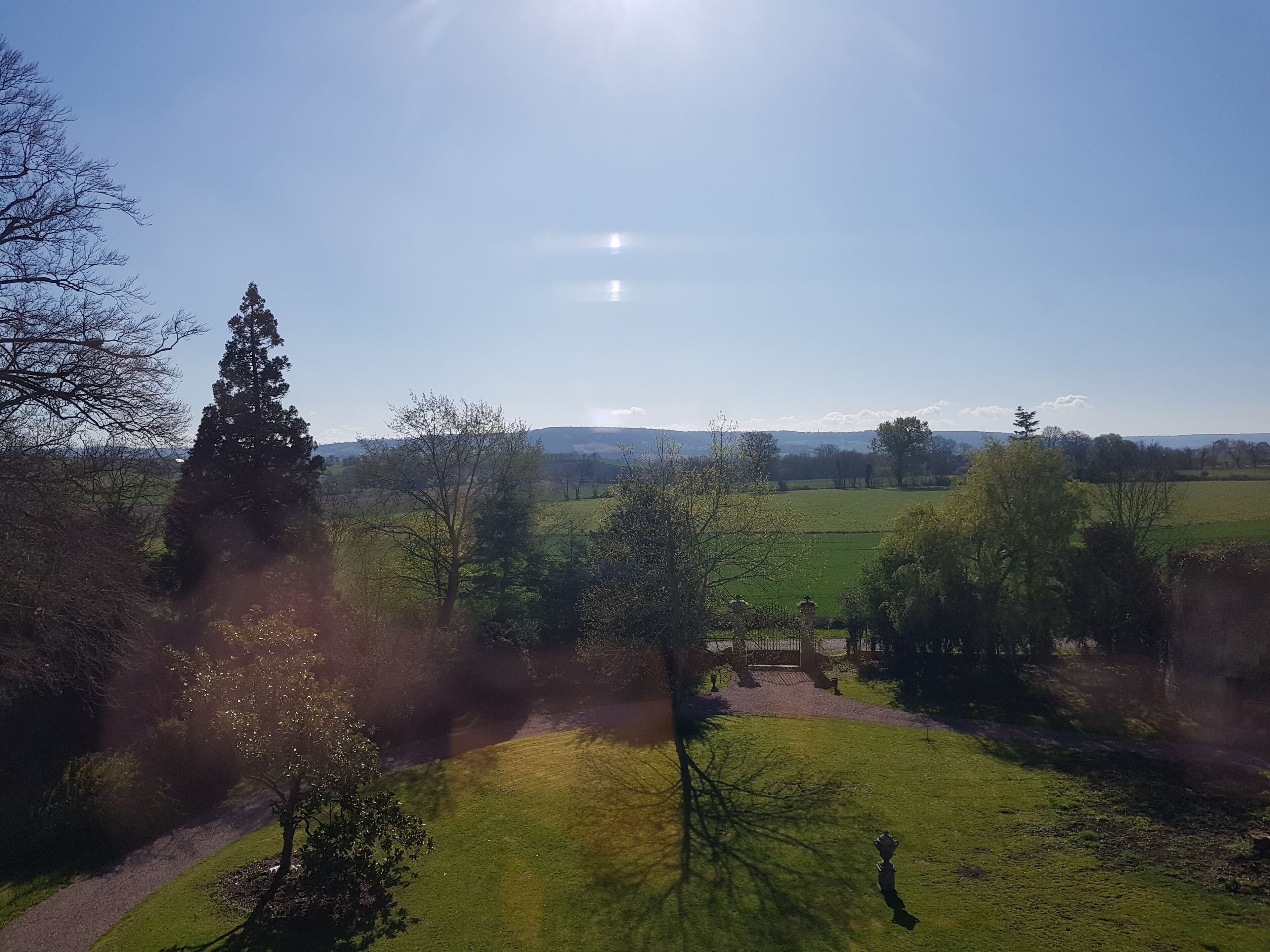 Paesaggio rurale con cielo sereno, campi verdi e alberi.