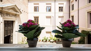 A courtyard with potted plants and a building facade. - COLOSSEO HISTORIC APARTMENT (Roma)