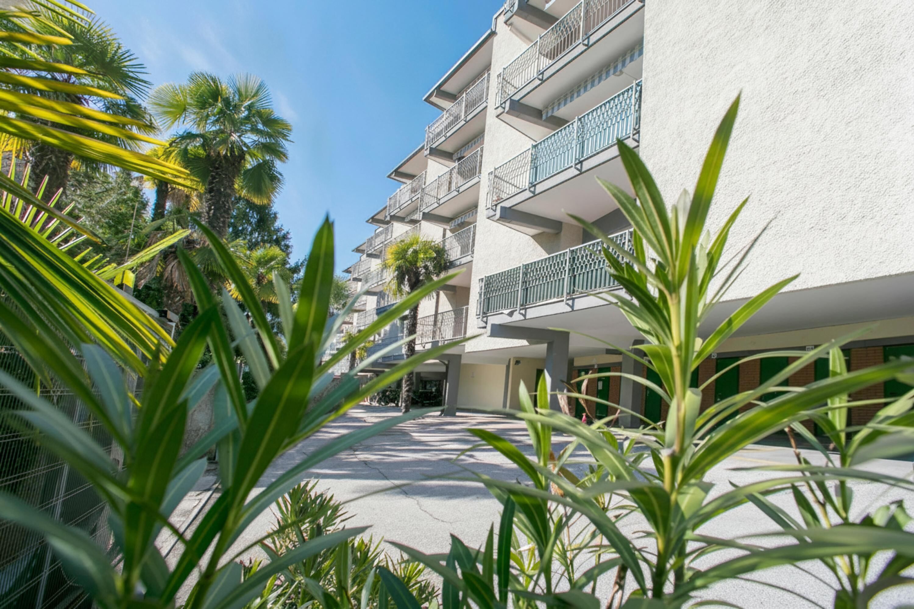 A multi-story hotel with balconies, surrounded by palm trees and greenery.