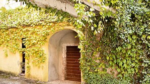 A building with an arched entrance, overgrown with ivy, and a visible door. - Casa Alla Grotta (Arco)