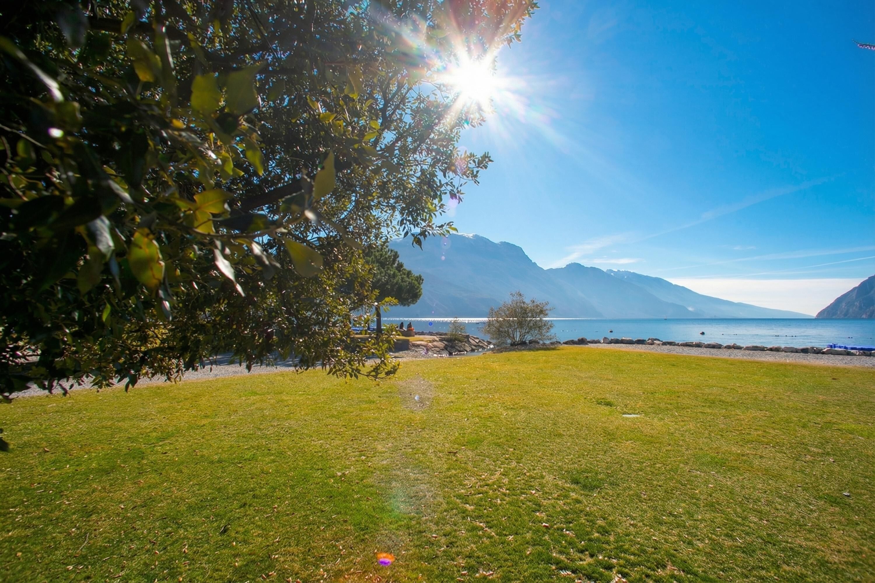 A grassy field with a clear sky and mountains in the background.