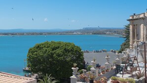 Une vue côtière comprenant une étendue d’eau importante, un arbre et un bâtiment doté de colonnes.
