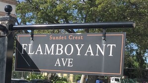 Un panneau de signalisation indiquant « Flamboyant Avenue » à Sunset Crest.