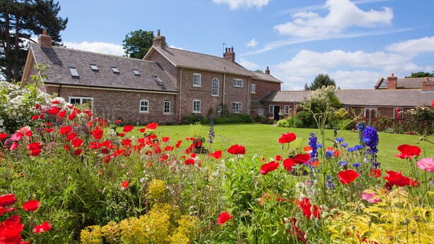 A large brick house with multiple windows and a well-maintained lawn. -  YORK single storey cottage ,gardens & open views.Thicket Priory & Derwent Ings. (Thorganby, York)