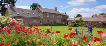  YORK single storey cottage ,gardens & open views.Thicket Priory & Derwent Ings.