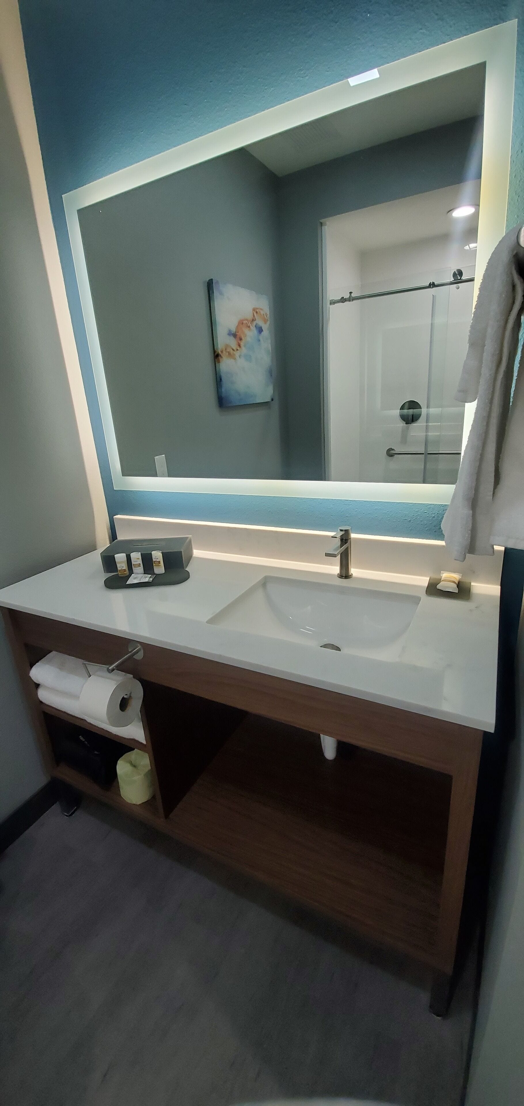Une salle de bain avec un grand miroir, un lavabo et une douche.