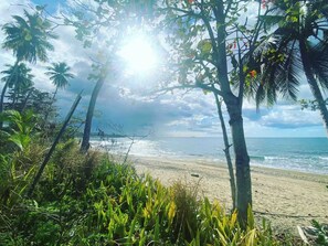 Ubicación cercana a la playa, tumbonas y toallas de playa