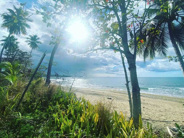 Playa en los alrededores, camastros y toallas de playa 