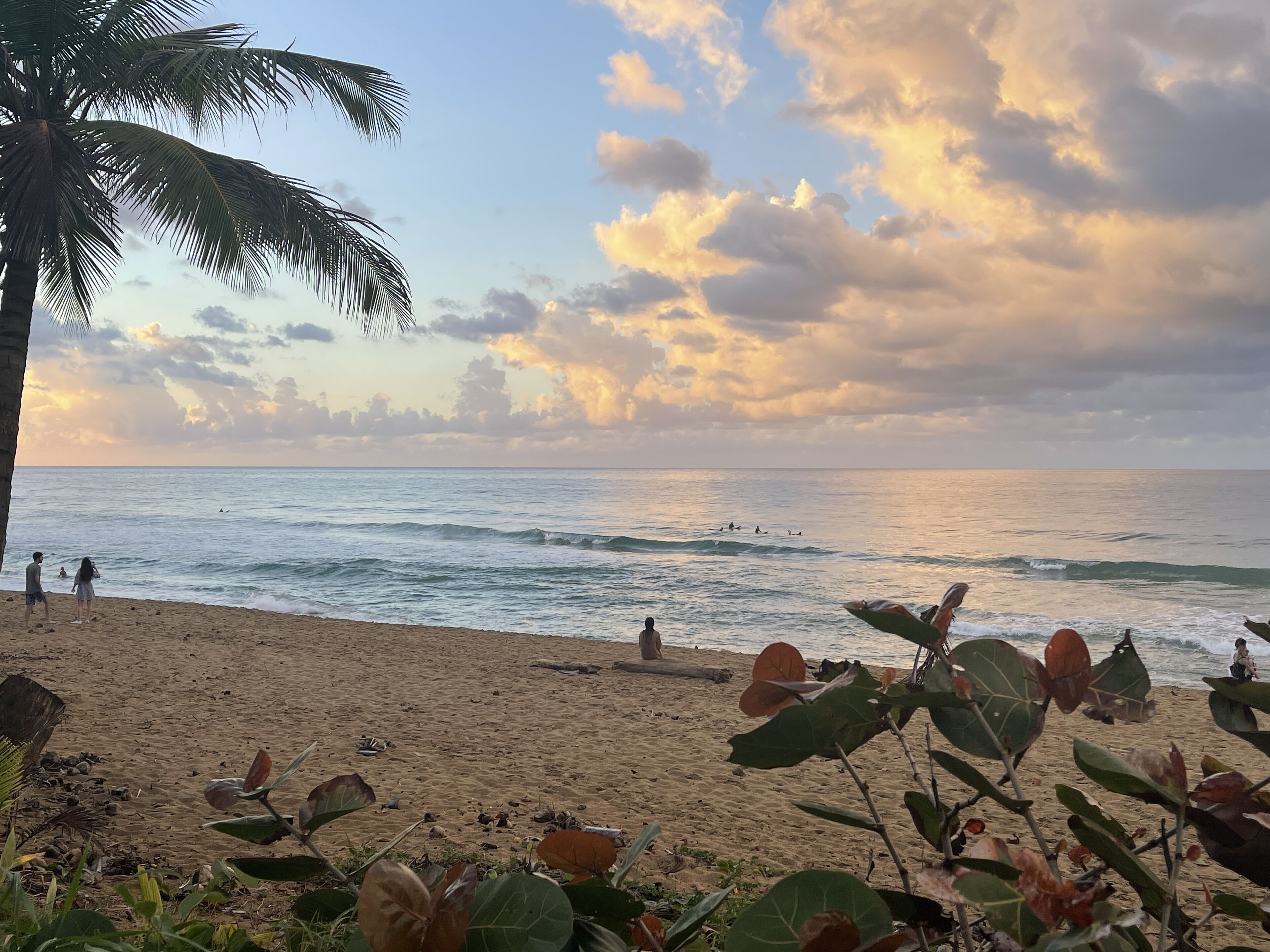靠近海滩、沙滩椅、沙滩毛巾