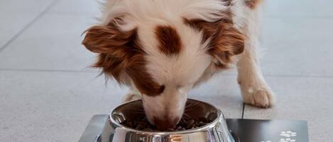 A dog eating from a stainless steel bowl on a tiled floor.