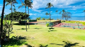 Campo esportivo