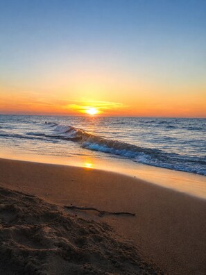 A beach with a sunset over the ocean, sandy shore, and a single tree branch. - Sunshine Motel and Cabins (Ontonagon)